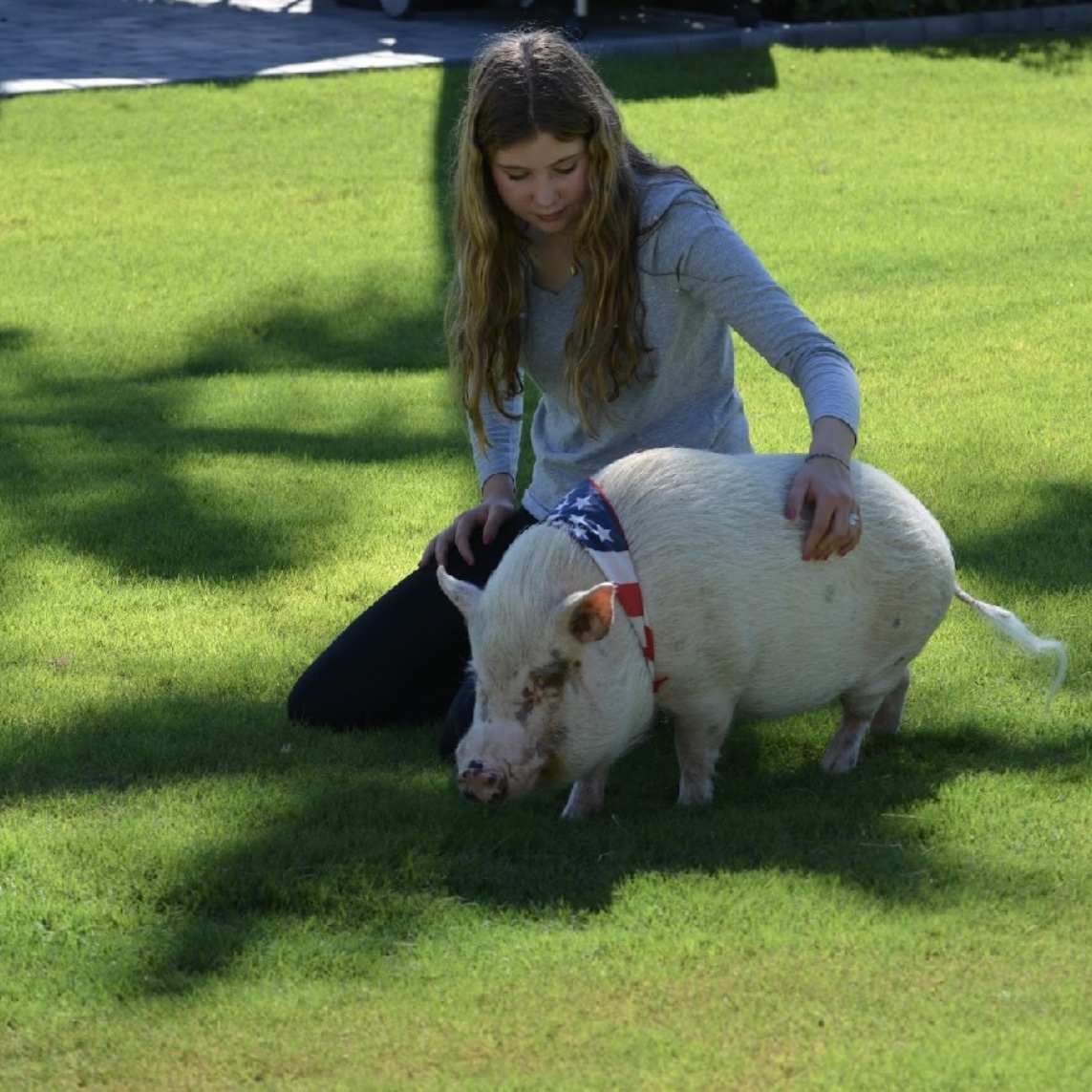 Farmer’s Market at HEAL Farm