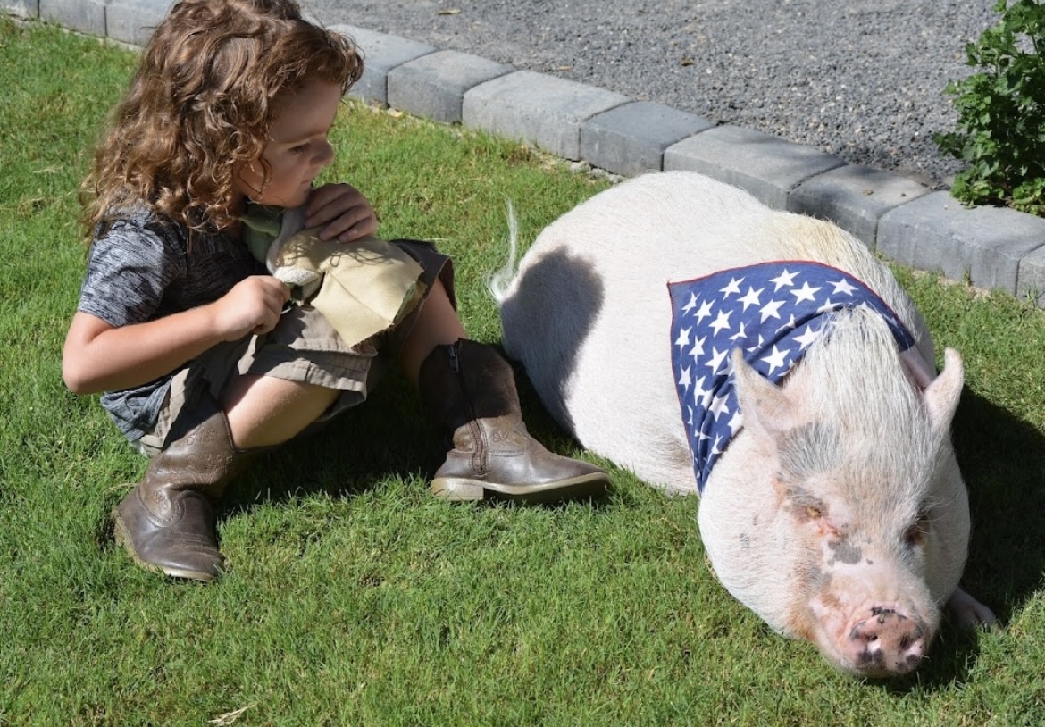 Growing together at the farm